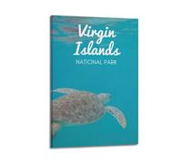 LXDSTK Album fotografico moderno per famiglia, decorazione da parete per camera da letto, poster minimalista di viaggio del Parco Nazionale delle Isole Vergini con tartarughe, 30 x 45 cm