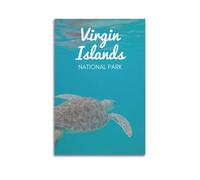 LXDSTK Album fotografico moderno per famiglia, decorazione da parete per camera da letto, poster minimalista di viaggio del Parco Nazionale delle Isole Vergini con tartarughe, 30 x 45 cm