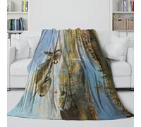 LXHASPIEO Tedesco Me262 Caccia Coperta Accogliente - Militare Coperta Per L'aria Condizionata Morbida Regalo Compleanno Per Il Marito/fidanzato/fidanzata 60x80inch(150x200cm)