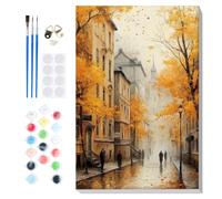 Lxmsja Dipingere con i Numeri Strada Nebbia con Cornice per Adulti 20x30cm | Kit fai da te con 3 pennelli, strada europea nebbiosa con lampioni, pittura atmosferica, hobby rilassante per principianti