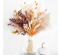 Lxoraziy 64 Pezzi Bouquet di Fiori Secchi Boho - Pampas Naturale, Code di Coniglio, Eucalipto & Altro - Decorazioni Floreali Rustiche per Casa, Matrimonio, Ufficio & Regali DIY