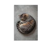 LXPPLSYY Decorazione artistica da parete con gatto soriano addormentato in un cerchio perfetto su sfondo grigio morbido, decorazione artistica da parete, poster artistico da appendere, 40 x 60 cm