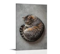 LXPPLSYY Decorazione artistica da parete con gatto soriano addormentato in un cerchio perfetto su sfondo grigio morbido, decorazione moderna da appendere, 20 x 30 cm