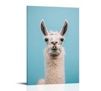 LXPPLSYY Decorazione artistica da parete con immagine di un lama che sembra infastidito mentre aspetta fuori dal bagno, sfondo blu tinta unita, decorazione artistica da appendere, 20 x 30 cm