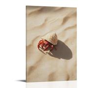 LXPPLSYY Decorazione artistica da parete moderna da appendere con un granchio eremita che striscia sulla sabbia dorata, conchiglia che riflette il tardo sole su uno sfondo beige corallo. Decorazione