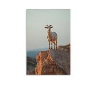 LXPPLSYY Poster artistico da appendere con una capra in piedi orgogliosamente sulla cima di una stretta sporgenza, minimalista e polverosa, decorazione moderna da appendere, 30 x 45 cm