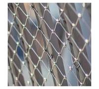 LXYAYY Rete di sicurezza flessibile in acciaio inossidabile 304, rete antifurto, 10 cm/2 mm, per prevenzione delle cadute da 2 mm, rete metallica tipo X (2 x 9 m)
