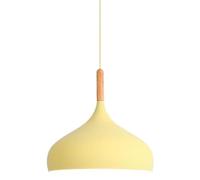 LXYST Luce Nordic Testa Ristorante Moderno Semplice a Sospensione Industrial Style Decorative Freedture personalità Commerciale lampadario (Giallo, 30 cm)