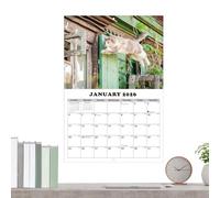 lyanny Calendario Gatti 2026,Agenda Pianificazione 13 - Jouet Anti-Stress | per Sala da Pranzo Camera da Letto Studio Ufficio Studenti Insegnanti Consulenti Liberi Professionisti Laboratorio
