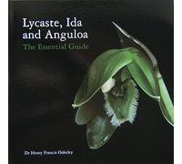 Lycaste, Ida and Anguloa: The Essential Guide