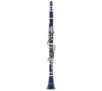 LYEAA Clarinetto in Sib 17 Tasti con Custodia Strumento a fiato Guanti Bianchi/Panno for Pulizia Studente Esame for Adulti Set di Strumenti Musicali Botti/Ance for Principianti e Studenti (B