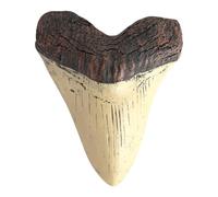 LYEAA Dente Gigante di Megalodonte da 5 pollici Replica di Dente di Squalo Facile da Pulire Decorazione Domestica Denti di Squalo Beige Fossile Biologia Marina Oggetti di Scena for Bambini B