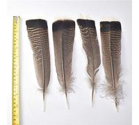LYFANG Varie piume naturali reali dell'aquila 10pcs 15-40cm piume dell'uccello dell'aquila per l'artigianato fai da te decorazione di nozze pennacchi