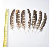LYFANG Varie piume naturali reali dell'aquila 10pcs 15-40cm piume dell'uccello dell'aquila per l'artigianato fai da te decorazione di nozze pennacchi