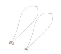 LYFHJD Collana da 2 Pezzi per Mamme Donne Ciondolo Mamma Animale Madre e Figlia per la Prima Volta Mamma Presente in Acciaio Inossidabile Argento