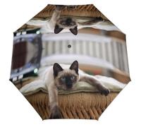 Lyfthologen Ombrello pieghevole, due delfini, ombrello da viaggio, apertura e chiusura automatica per antivento, impermeabile, Mandala del gatto thailandese siamese, One size