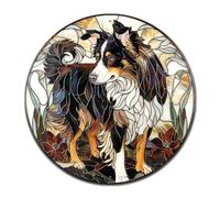Lygond Targa decorativa in latta intelligente Border Collie per interni a tema scozzese, casa, ufficio e amanti dei cani, facile da installare, in alluminio, per giardino, come regalo, 30,5 x 30,5 cm
