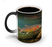 LYHVSFJW Brook - Tazza da caffè in ceramica a forma di trota, con scritta "Fly Fishing", tazza da caffè in ceramica che cambia il calore, tazza da tè personalizzata, 325 ml, tazze a sublimazione per