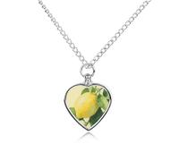 LYHVSFJW Collana con urna a forma di limone, acquarello, per ceneri a forma di cuore, collana per cremazione, cani, gatti, urna per animali domestici, gioielli per cremazione, medaglione, gioielli