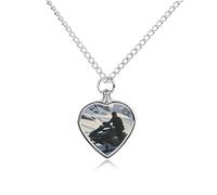 LYHVSFJW Collana con urna a forma di motoslitta per ceneri a forma di cuore, collana per cremazione di cani e gatti, ciondolo per animali domestici, gioiello per cremazione, ciondolo commemorativo per