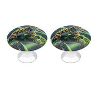 LYHVSFJW Leopard Little Gecko - Confezione da 2 pomelli decorativi per cassetti in acciaio inox, per mobili da bagno, per cucina, porta e cassetto, armadio, armadio