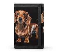 LYHVSFJW Portafoglio pieghevole a tre pieghe beige semplice con 8 scomparti per carte, tasca sottile con cerniera per monete, diviso, per uomini e donne, Bassotto Weiner Pet Dog, Taglia unica, Moderno