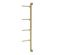 LYHXYLFT Espositori For Biancheria Intima Da Parete, Salvaspazio For Indumenti Intimi, Espositore For Biancheria Intima Di Grande Capacità, For Reggiseni(Gold)