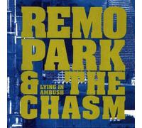 Lying in Ambush by Remo Park