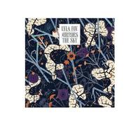 Lyla Foy - Mirrors the Sky