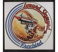 LYNYRD SKYNYRD - free bird 12