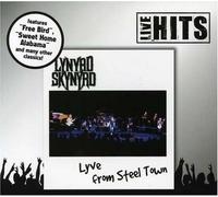 Lynyrd Skynyrd - Lyve In Steel Town