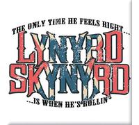Lynyrd Skynyrd Only Time He Feels Right Magneti da Frigo (Taglia Unica) (Bianco, Rosso, Blu)