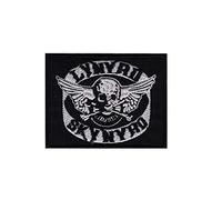 Lynyrd Skynyrd Skull Rockband South Distintivo Ricamato Applicazioni Il Ferro Sulla Toppa Patch Accessorio