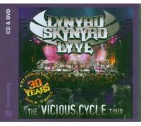 Lynyrd Skynyrd - The Vicious Cycle