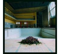 LYR Call in the Crash Team (Vinyl LP) 12" Album