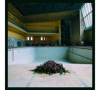 LYR Call in the Crash Team (Vinyl LP) 12" Album