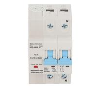 lyrlody Interruttore Automatico WiFi PC 2P Interruttore Automatico su Guida DIN AC230V con Controllo Remoto App Temporizzazione Ritardo Sovraccarico Protezione da Cortocircuito per Riscaldatore