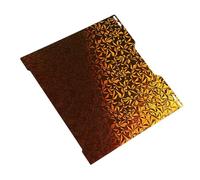 lyrlody Piastra di Stampa Fronte-retro, Elevata planarità PEO e PEY Piastra di Costruzione Flessibile di Facile Manutenzione per la Stampa 3D