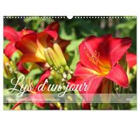 Lys d'un jour (Calendrier mural 2026 DIN A3 vertical), CALVENDO calendrier mensuel: Une fleur d'été à la floraison inlassable