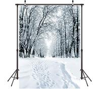 LYWYGG 5x7FT Sfondo di Neve Sfondo di Fiocchi di Neve Sfondo di Foto Sfondo di Inverno Nevoso Sfondo di Natale Sfondo di Foto di Casa Fotografia in Studio Puntelli CP-285