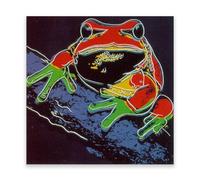LZ6J8C9 Famosa arte murale. Andy Warhal Riproduzione di dipinti famosi. Warhol tela pittura per la decorazione domestica. (Albero Rana II) 80x80cm Senza cornice