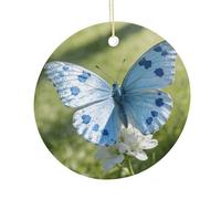 LZQPOEAS Ciondolo rotondo in ceramica a forma di farfalla azzurra, ornamento da appendere per festival, decorazione per la casa in ceramica su entrambi i lati, leggero e resistente, regalo per casa