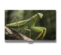 LZQPOEAS Porta biglietti da visita Green Blades between The Branches, custodia per biglietti da visita in metallo personalizzata, organizer portatile tascabile con chiusura a fibbia, contenitore