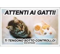 M-ITALY CARTELLO SEGNALETICO - ATTENTI AI GATTI TI TENGONO SOTTO CONTROLLO - Adesivo Extra Resistente, Pannello in Forex, Pannello In Alluminio (20x31, Alluminio)