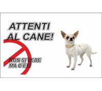 M-ITALY CARTELLO SEGNALETICO - ATTENTI AL CANE CHIHUAHUA NON SI VEDE MA C'È - Adesivo Extra Resistente, Pannello in Forex, Pannello In Alluminio (20x31, Adesivo)
