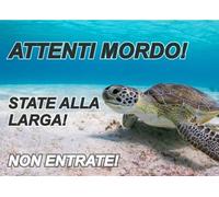 M-ITALY CARTELLO SEGNALETICO - ATTENTI ALLA TARTARUGA ATTENTI MORDO - Adesivo Extra Resistente, Pannello in Forex, Pannello In Alluminio (20x31, Plastica)