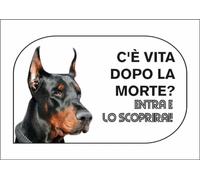 M-ITALY CARTELLO SEGNALETICO - DOBERMANN C'È VITA DOPO LA MORTE - Adesivo Extra Resistente, Pannello in Forex, Pannello In Alluminio (20x31, Plastica)