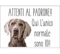 M-ITALY CARTELLO SEGNALETICO - WEIMARANER ATTENTI AL PADRONE - Adesivo Extra Resistente, Pannello in Forex, Pannello In Alluminio (30x42, Adesivo)