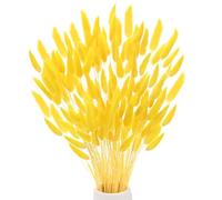 M METERXITY 180Pz Code Di Coniglio Erba 17 Pollici Soffici Code Di Coniglio Erba Fiori Secchi Rami Riempitore Di Vasi Decorazione Erba Secca Per Casa/Matrimonio/Vasi [Giallo Dorato]