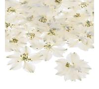 M METERXITY 24 Pezzi Fiori Pressati Essiccati Per Resina, Fiori Naturali Reali All'Ingrosso Per Artigianato/Sapone/Scrapbooking/Candele/Forniture Per Resina Epossidica/Cornici Foto [Bianco]